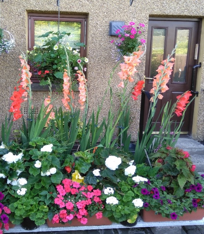 Garden and Veranda / Balcony Competition 2019