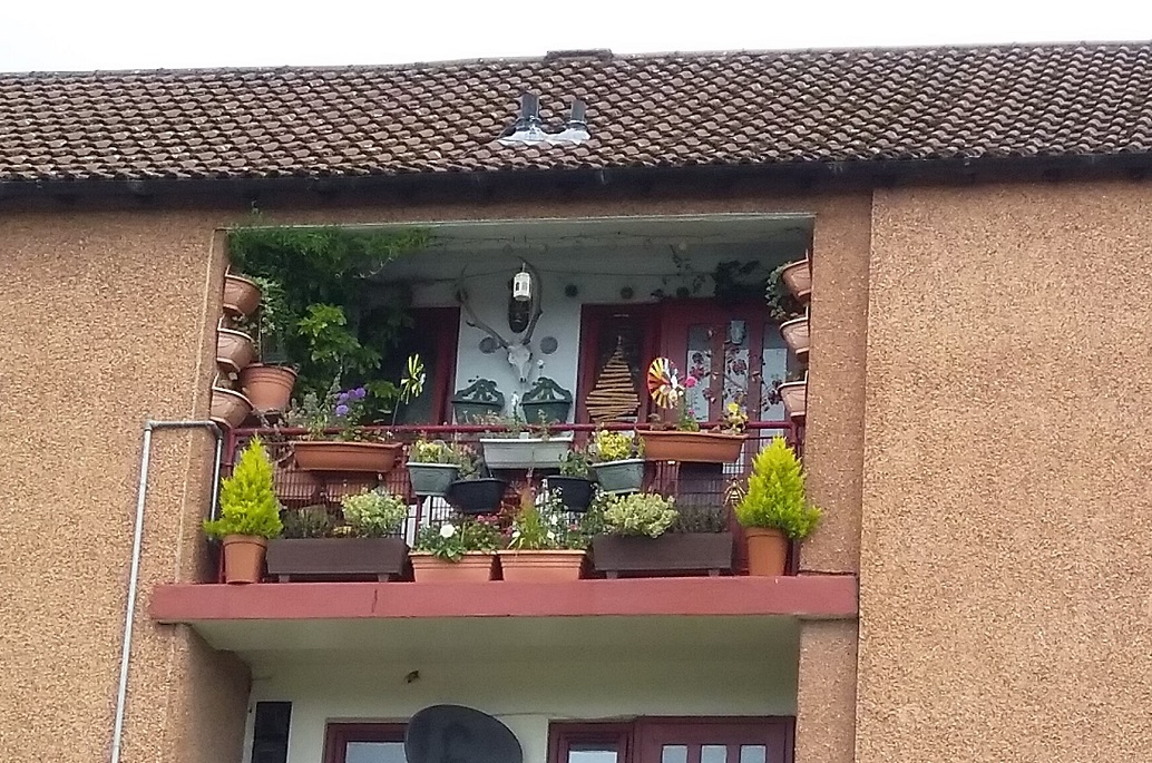 Garden Competition Winners 2019