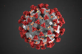 Covid-19 (Coronavirus) – Updated 26th March 2020