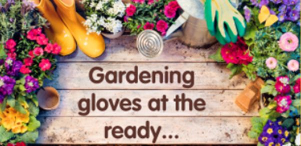 Garden & Veranda / Balcony Competition 2022
