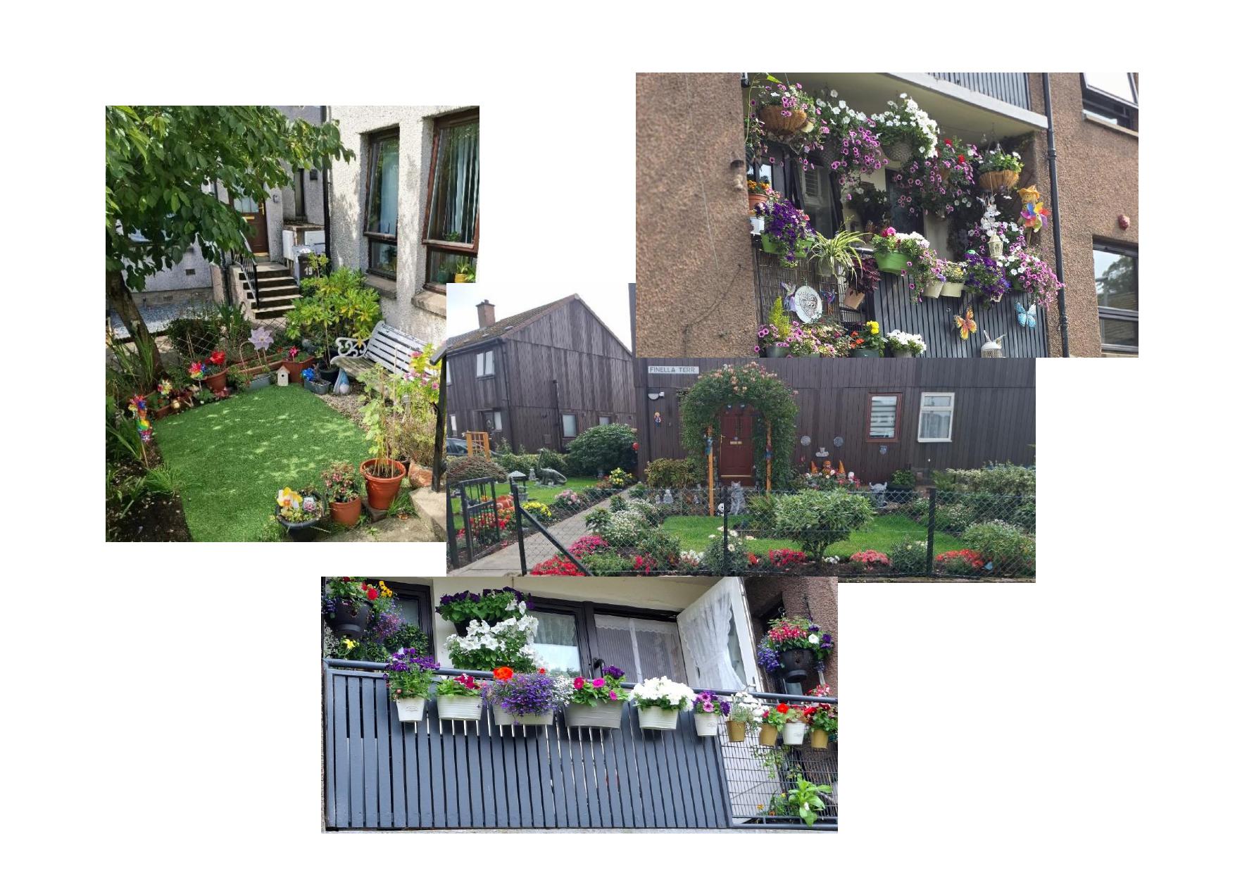 Garden Competition Winners